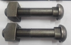 Track Bolt with SQ Nut