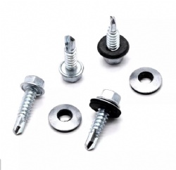 Hex Washer Head Sds screw with EPDM washer